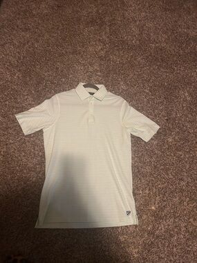 Daniel Cremieux Pale Green Striped Polo